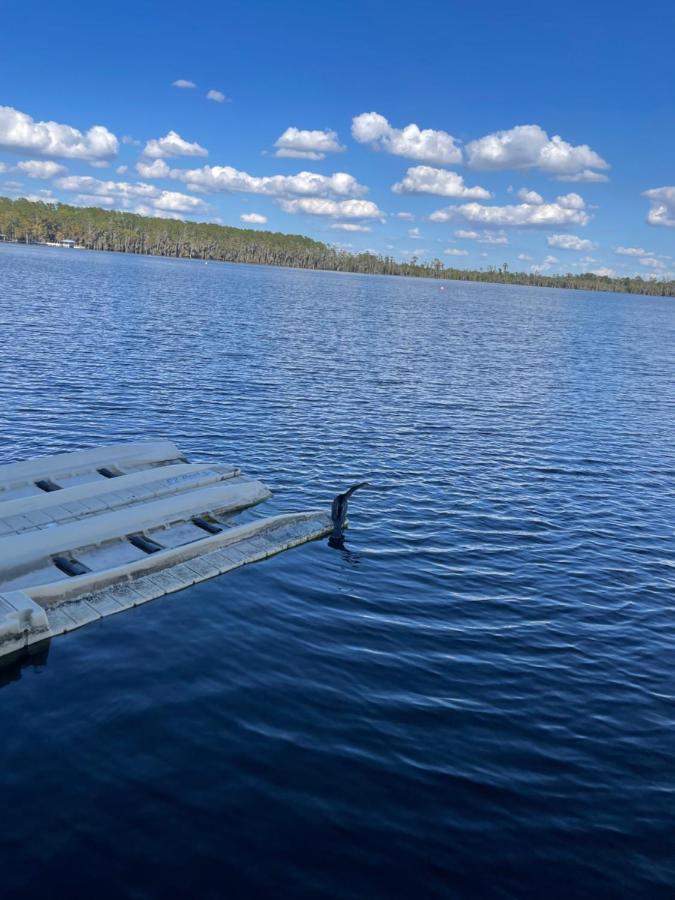 Disney Just 1 And A Quarter Mile Away, Blue Heron 1 Room 2 Bath,Amenities,6 Guests, Walk To Restaurants, No Fees At Check In Орландо Екстериор снимка